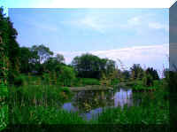 Pond - NorthSideBestView.jpg (67395 bytes)
